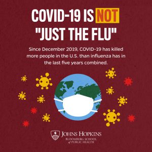 flu infographic